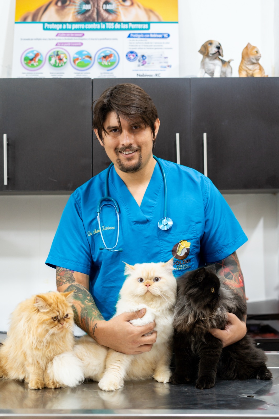 Cirugía veterinaria