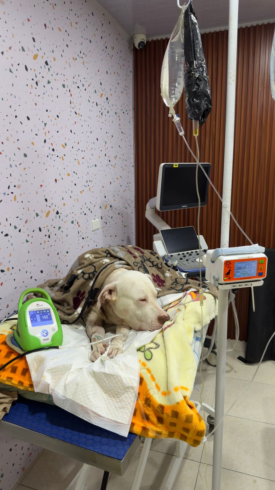Hospitalización