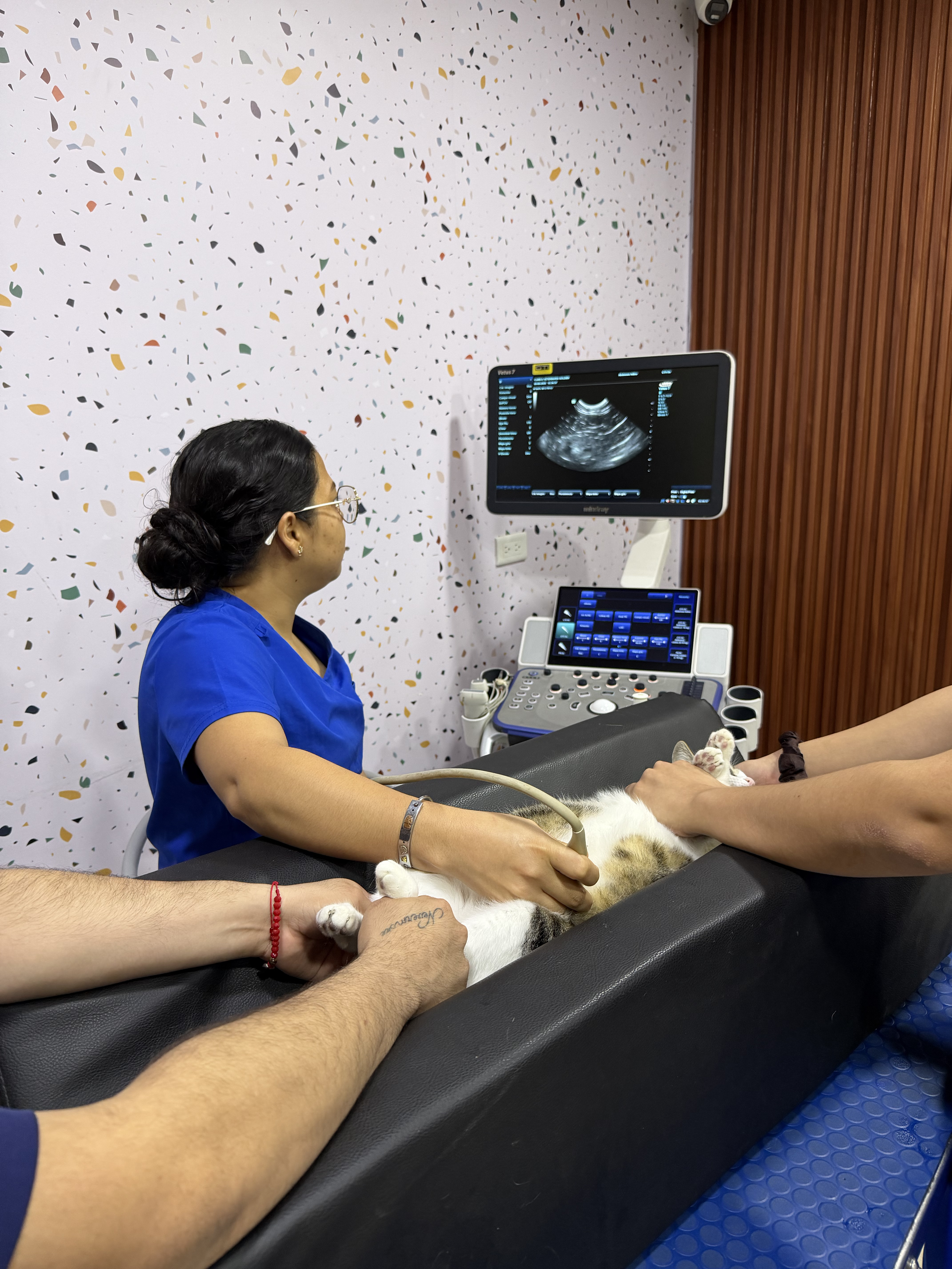 Radiología e imagen